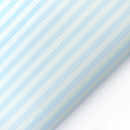 Umjetna koža Outdoor Stripe