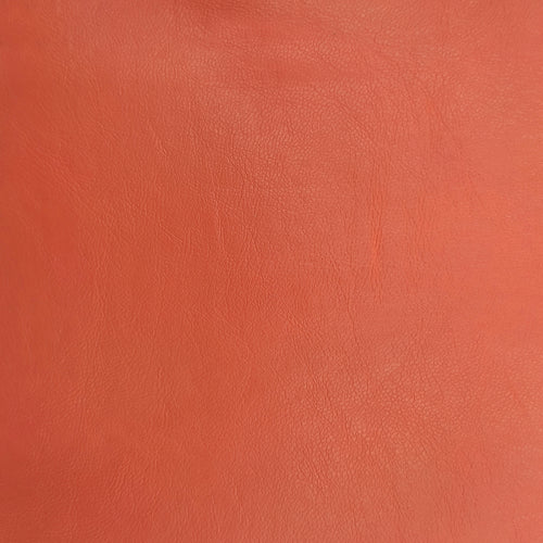 Ekološka koža Capro NW