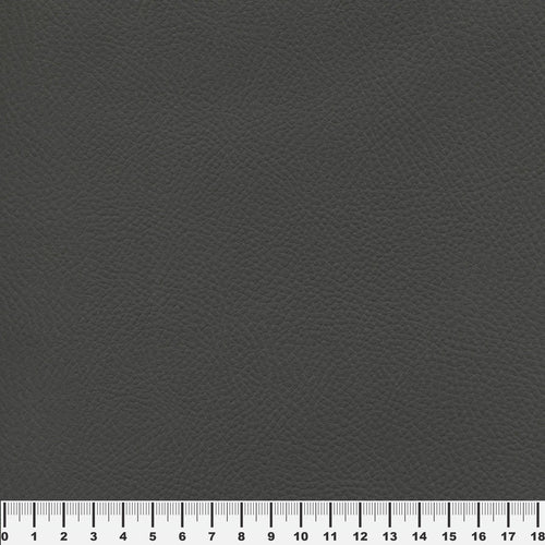 Piele Ecologica Covantry